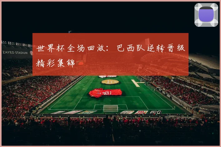 世界杯全场回放:巴西队逆转晋级精彩集锦