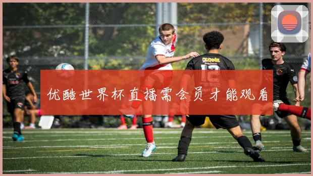 优酷世界杯直播需会员才能观看